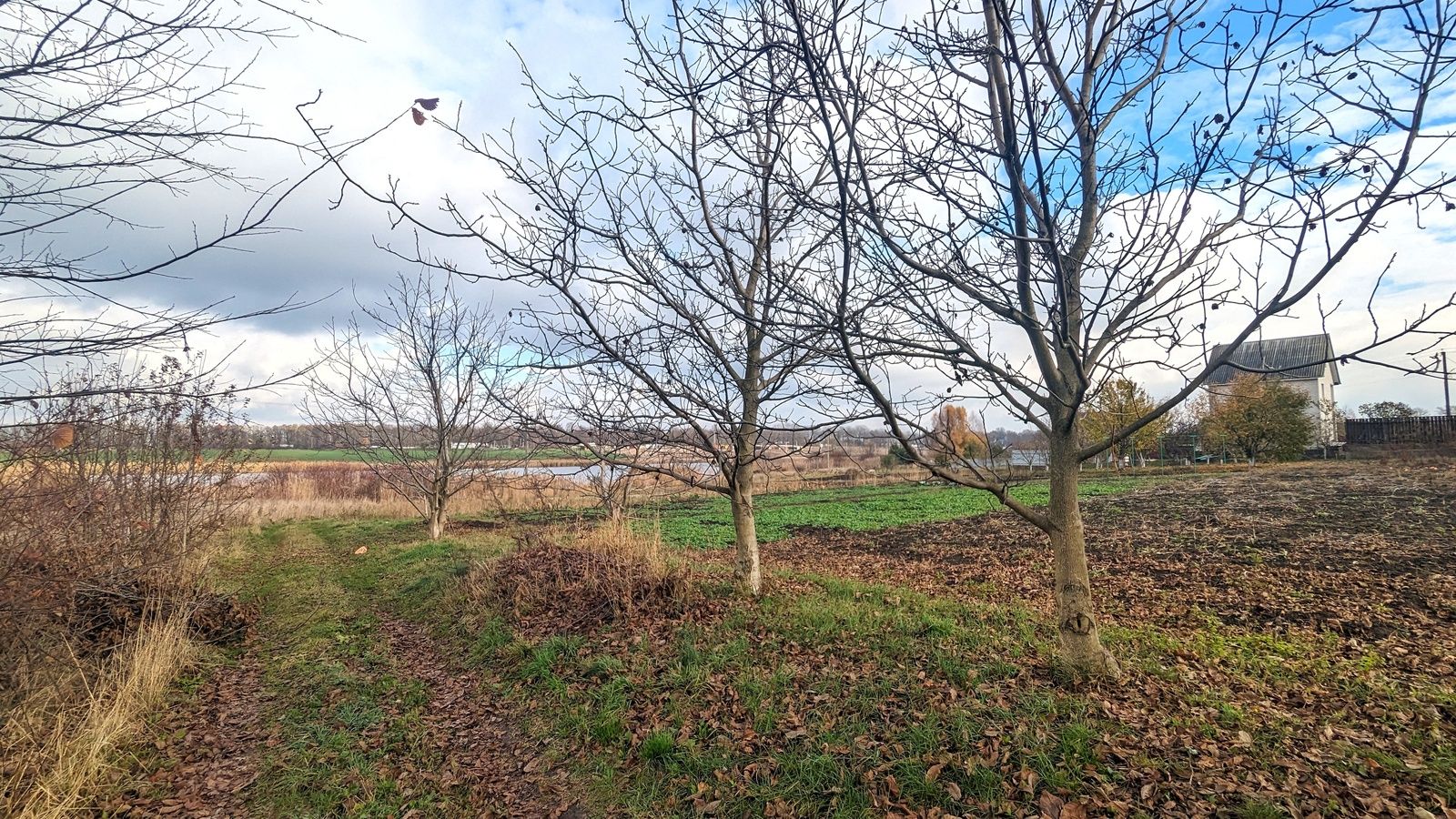 Сколько метров должно быть до забора Сколько метров должно быть до забора