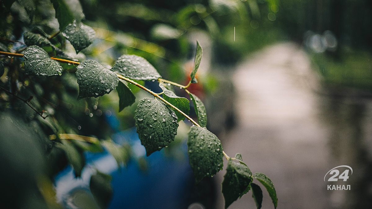 Дощі в Україні Дощі в Україні