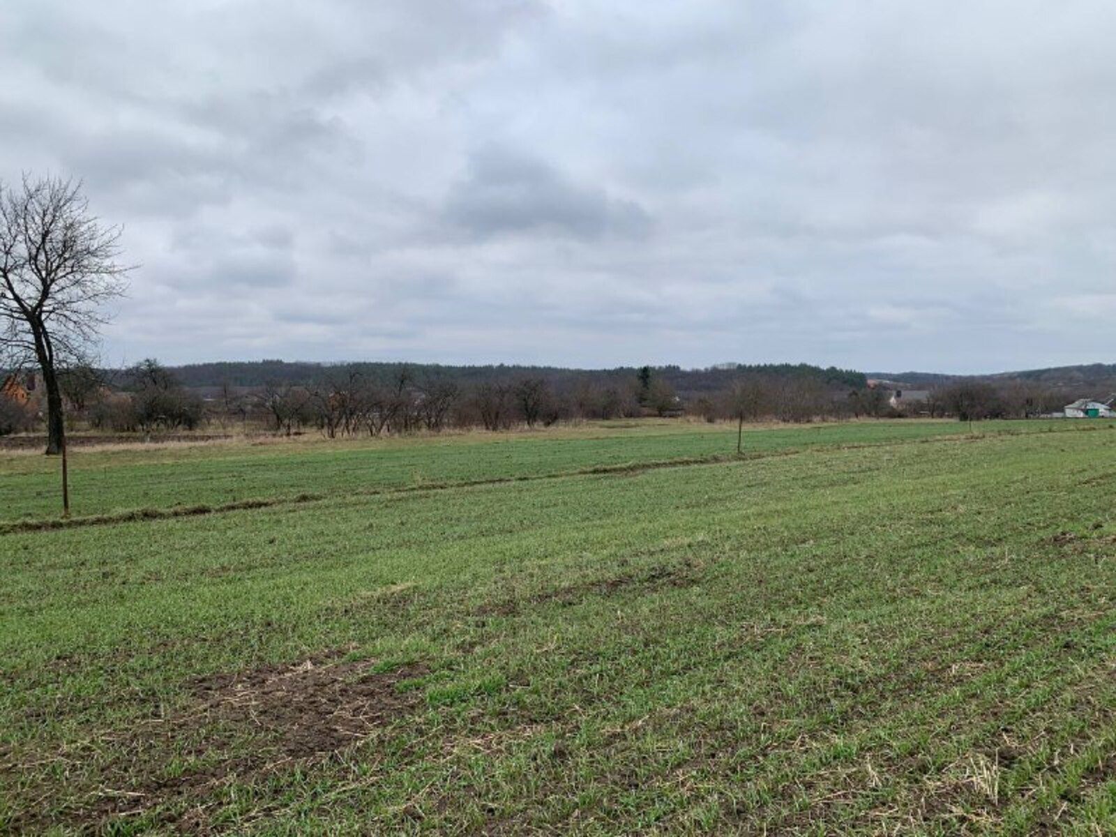 Які помилки бувають при здачі в оренду