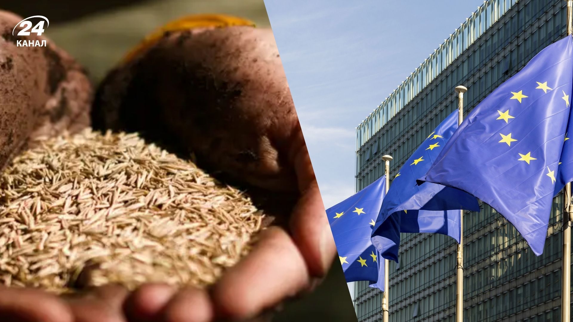 Насіння з України до ЄС можна постачати без додаткових дозволів Насіння з України до ЄС можна постачати без додаткових дозволів