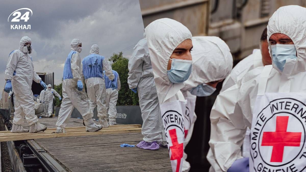 Тіла загиблих українських військових повернули в Україну 14 червня - 24 Канал Тіла загиблих українських військових повернули в Україну 14 червня - 24 Канал