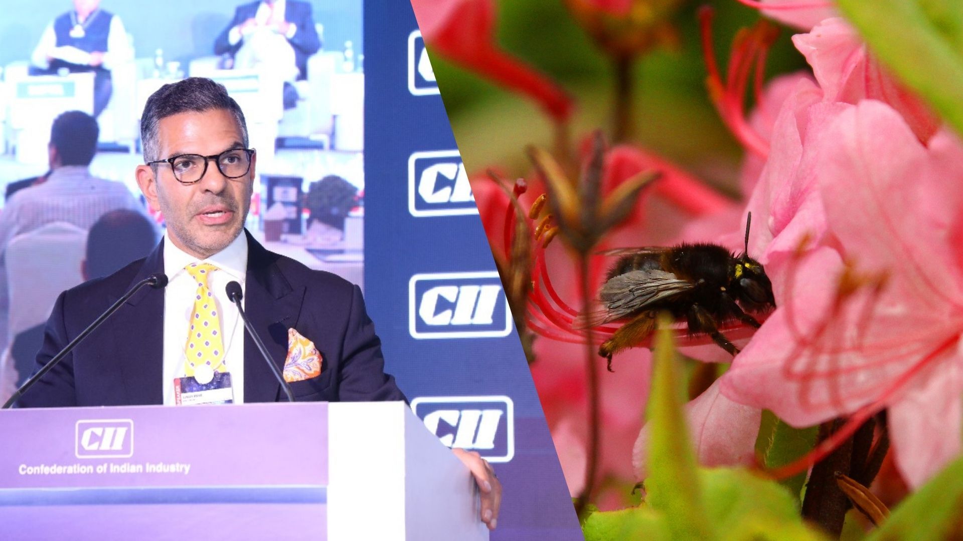 У Британії індійський мільярдер проковтнув бджолу і помер У Британії індійський мільярдер проковтнув бджолу і помер