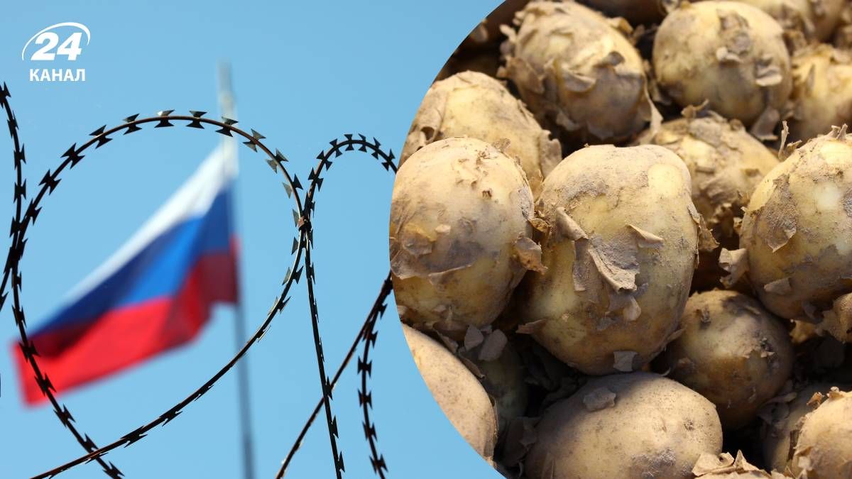 В России критически растут цены на овощи В России критически растут цены на овощи