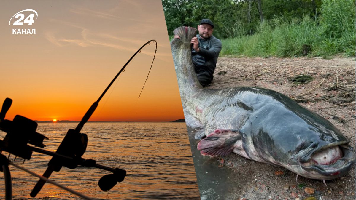 Поляк упіймав гігантського сома, якому понад 50 років Поляк упіймав гігантського сома, якому понад 50 років