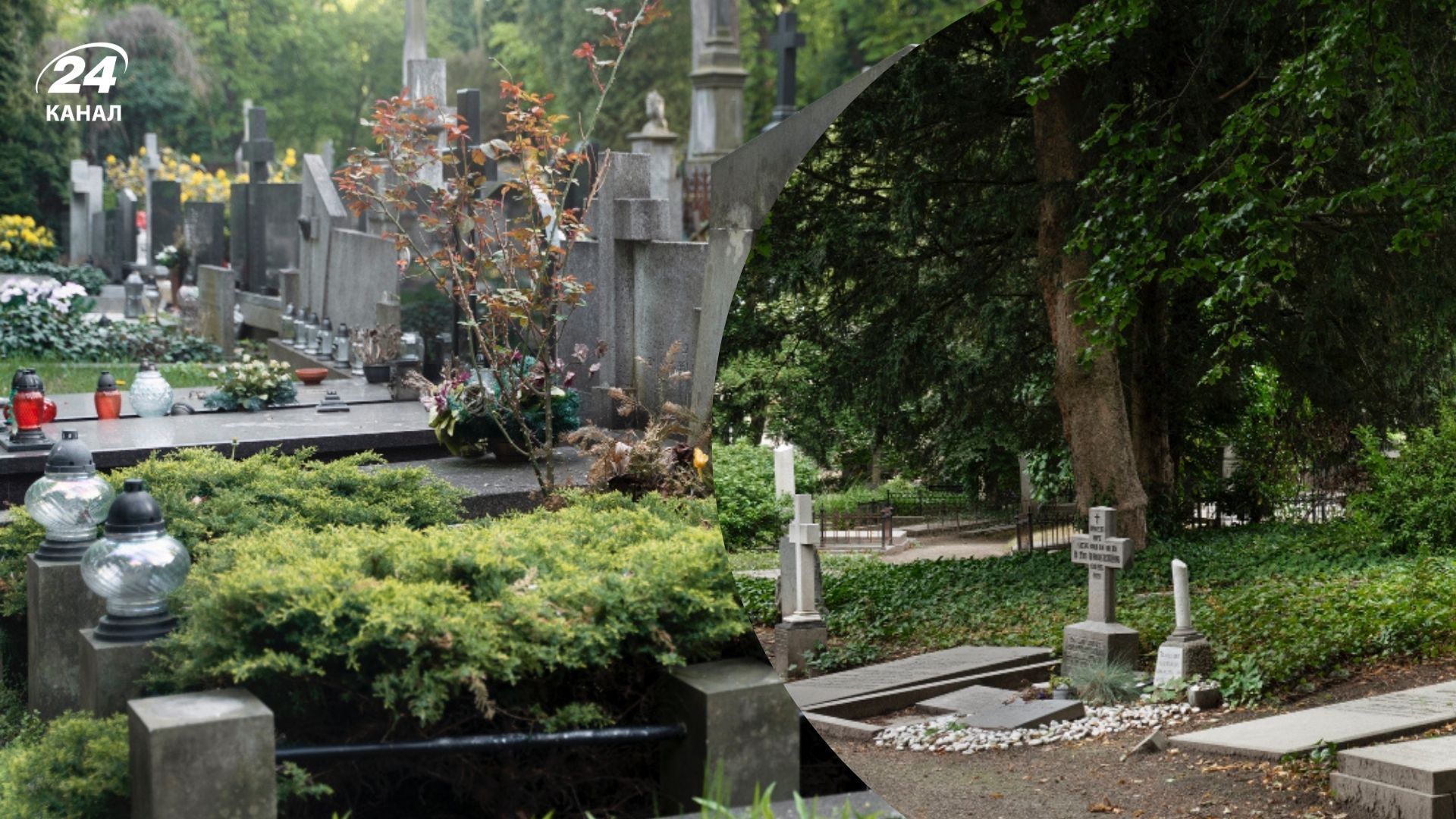 Что нельзя делать на кладбище Что нельзя делать на кладбище