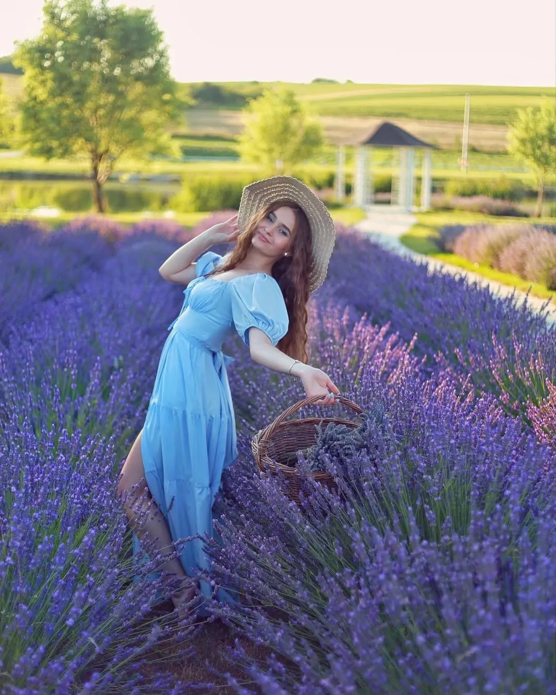 Лаванда у Stavky Country Club