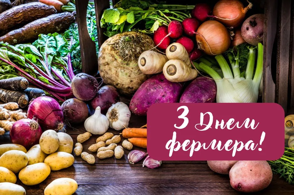 Поздравления с Днем фермера 2025 Поздравления с Днем фермера 2025