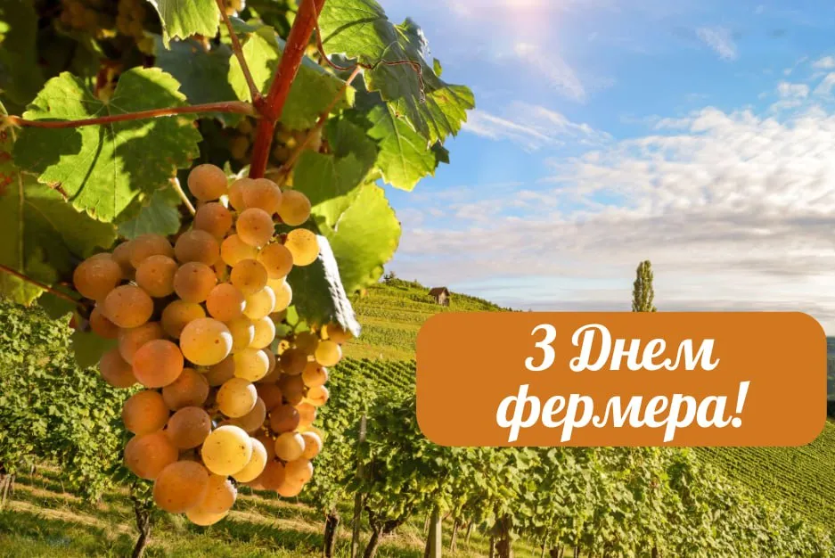 Поздравления с Днем фермера 2025 Поздравления с Днем фермера 2025
