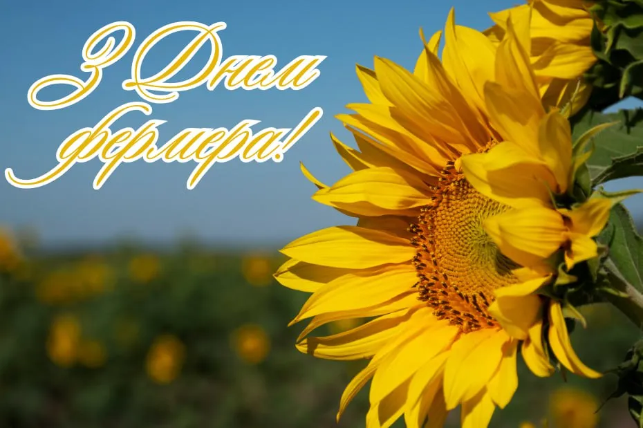 Поздравления с Днем фермера 2025 Поздравления с Днем фермера 2025