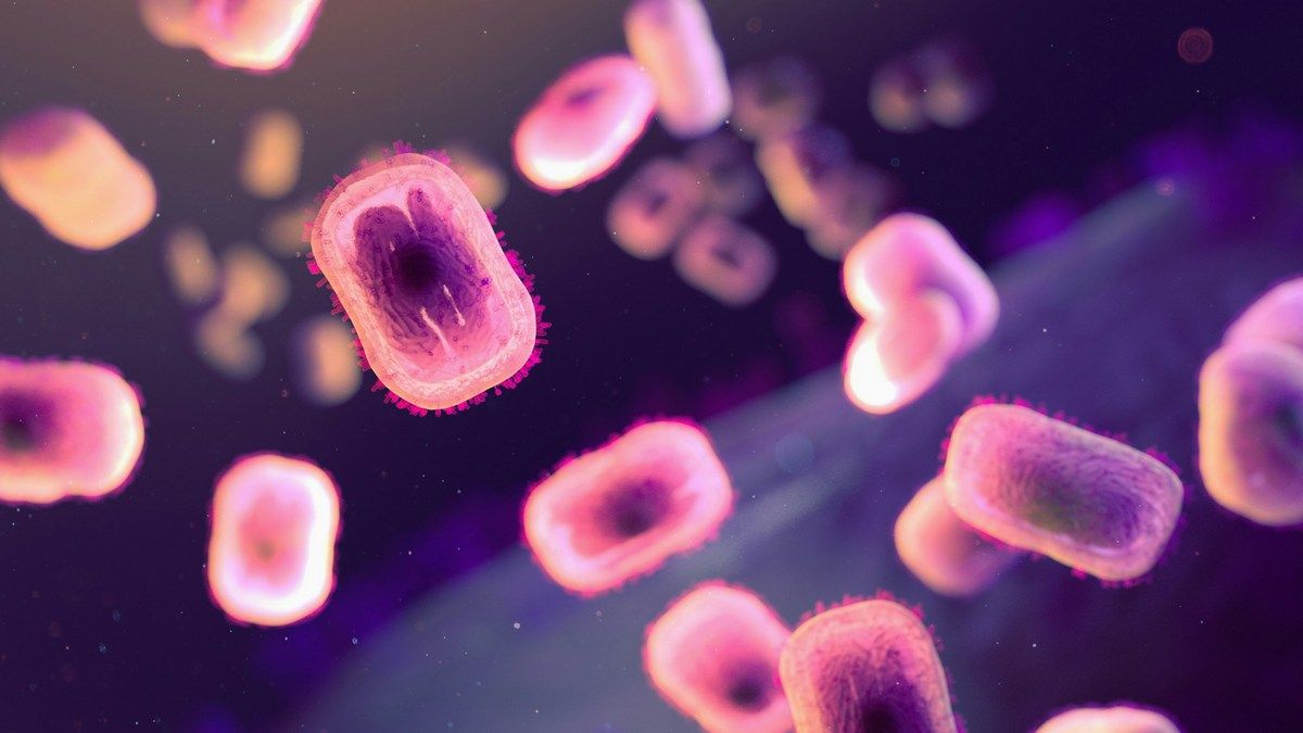 В глубинах океана нашли сотни неизвестных гигантских вирусов с уникальными свойствами В глубинах океана нашли сотни неизвестных гигантских вирусов с уникальными свойствами