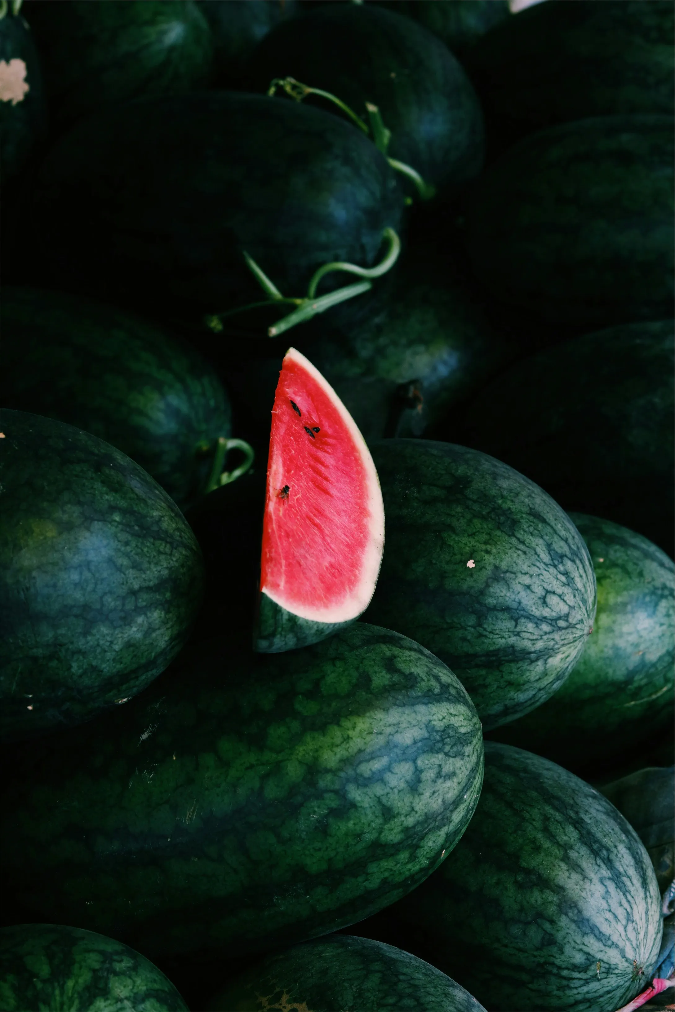 Как выбрать самый вкусный арбуз Как выбрать самый вкусный арбуз