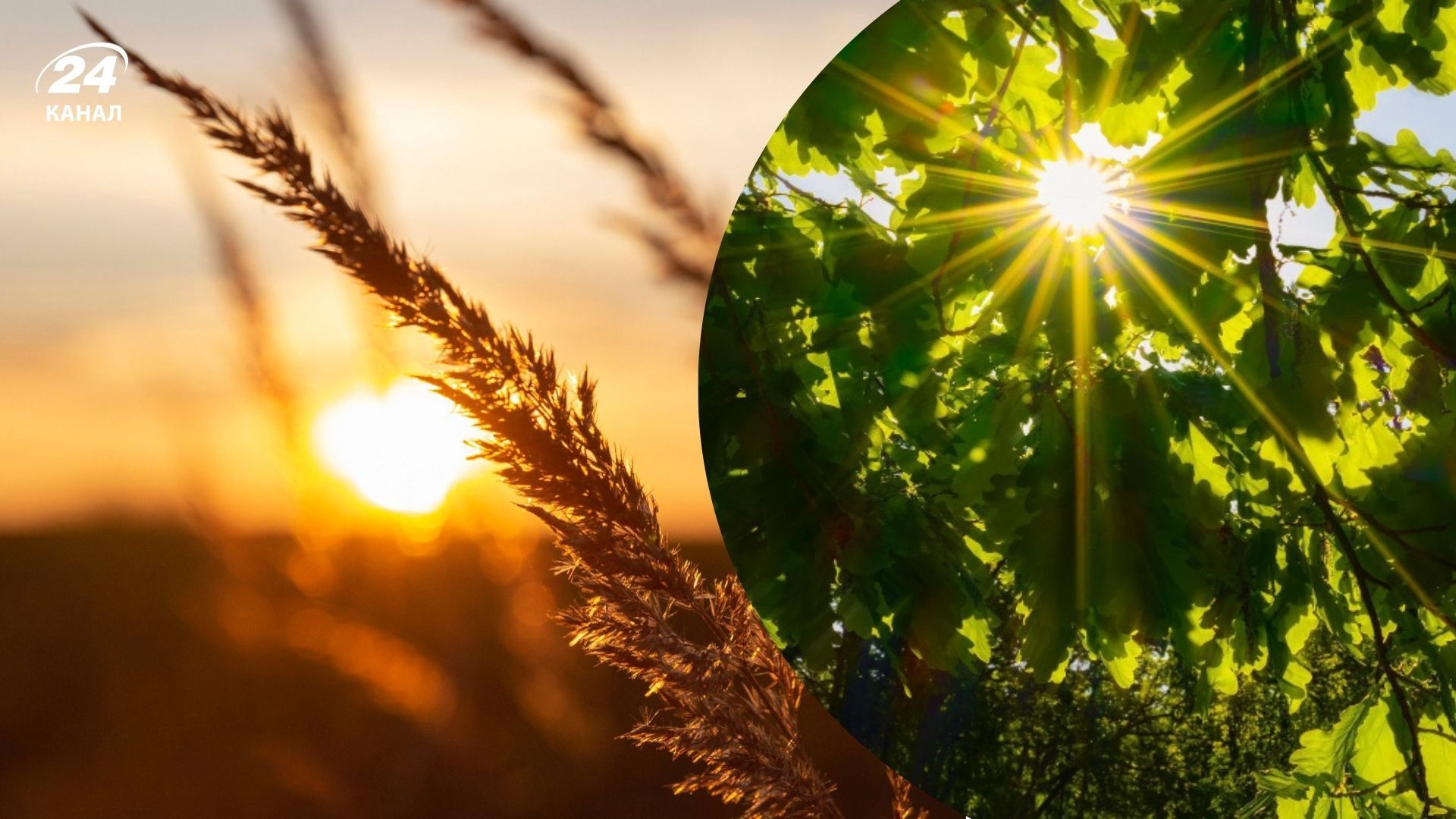 Прикмети Дня літнього сонцестояння 2025 Прикмети Дня літнього сонцестояння 2025