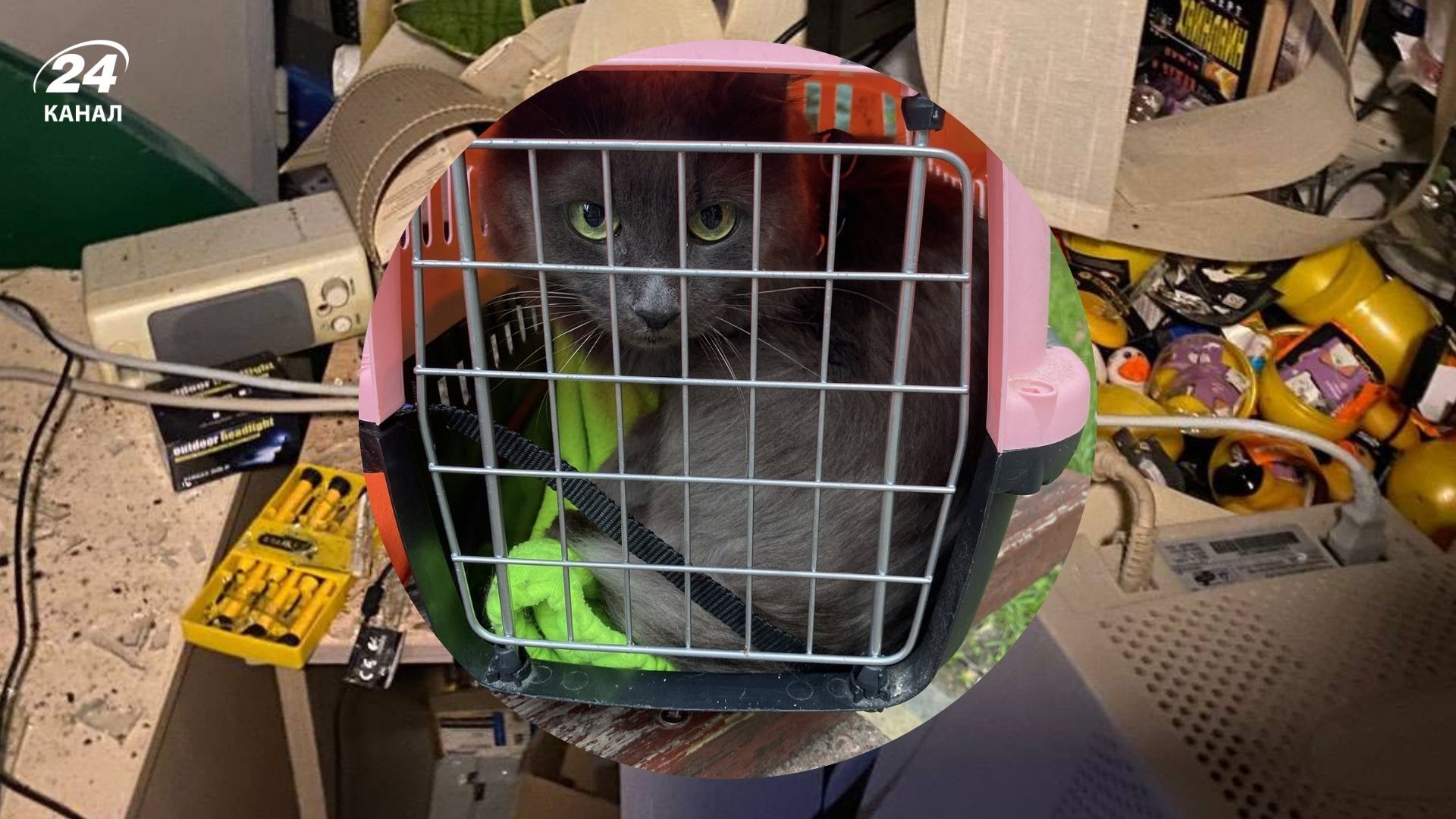 Временная квартира херсонской журналистки пострадала от обстрела Временная квартира херсонской журналистки пострадала от обстрела