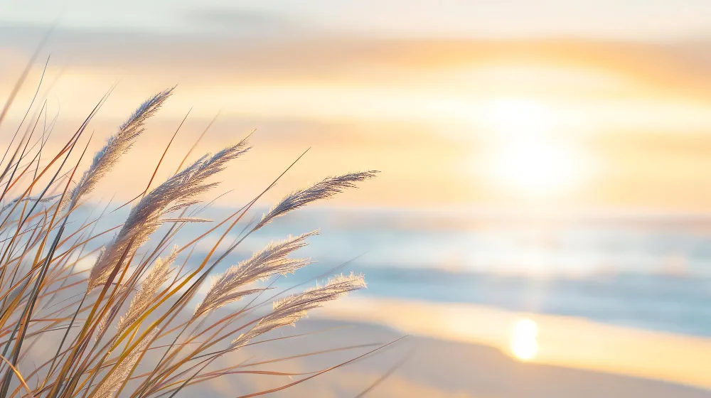 Что нельзя делать в День летнего солнцестояния 2025 года 