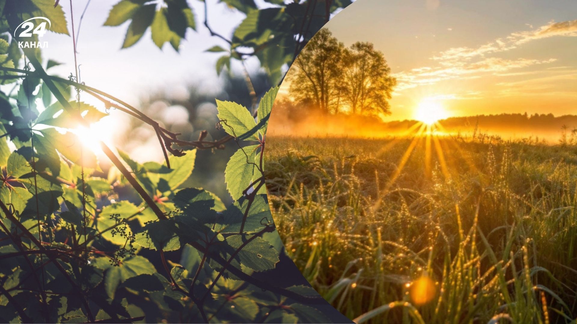 Що можна робити у День літнього сонцестояння 2025 Що можна робити у День літнього сонцестояння 2025