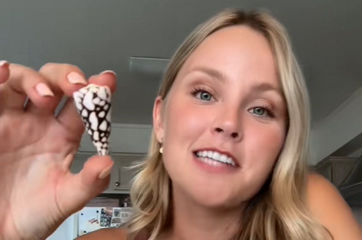 Ядовитая морская улитка в руке