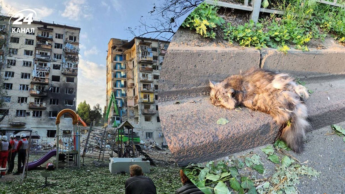 Зоозащитники рассказали о спасенных животных Зоозащитники рассказали о спасенных животных