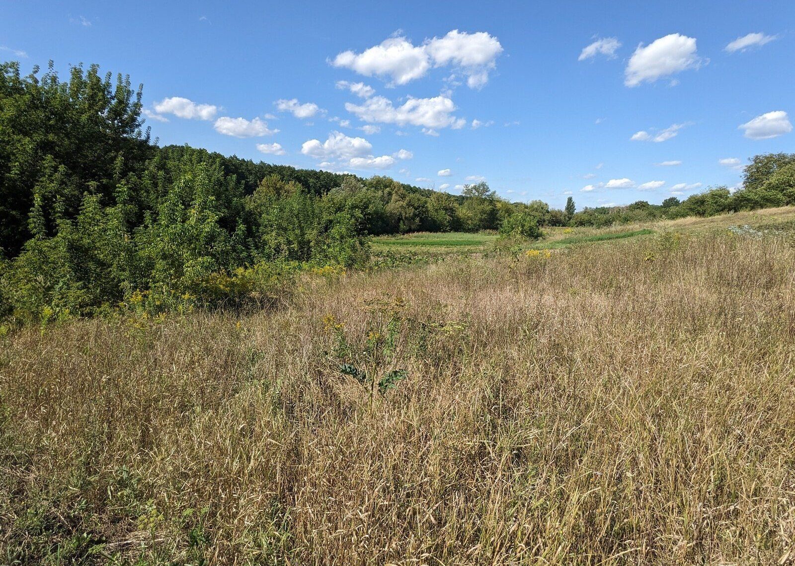 Платят ли пенсионеры земельный налог Платят ли пенсионеры земельный налог