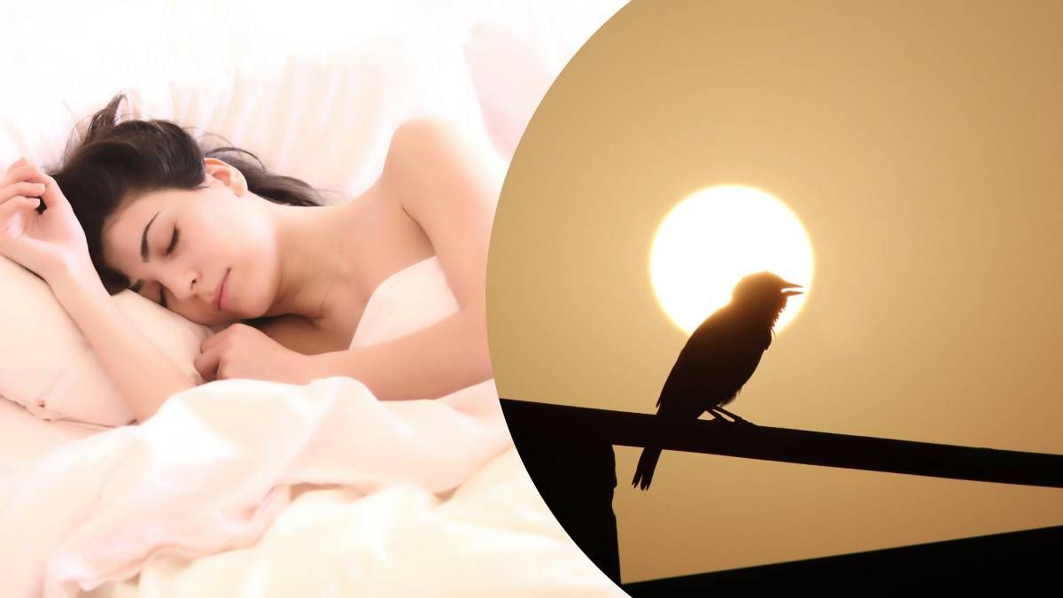 Кому присниться віщий сон - гороскоп Кому присниться віщий сон - гороскоп