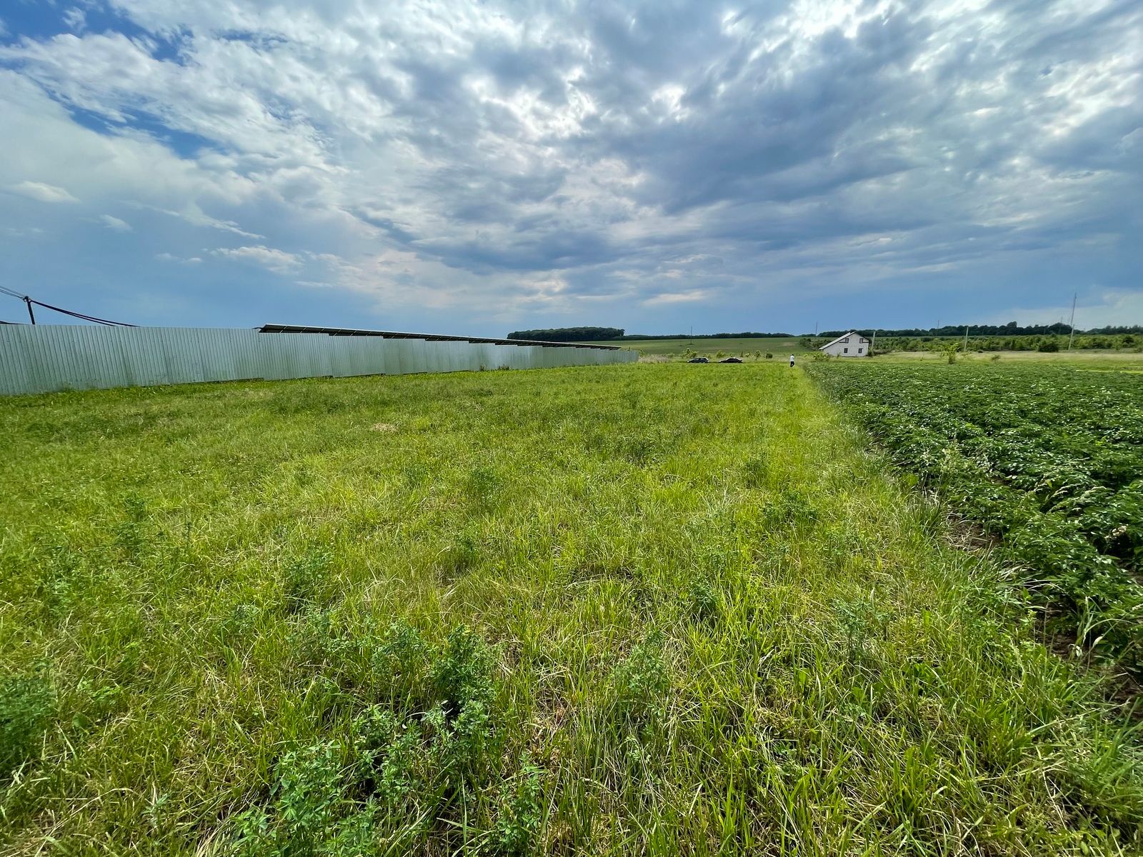 Кто платит налоги Кто платит налоги