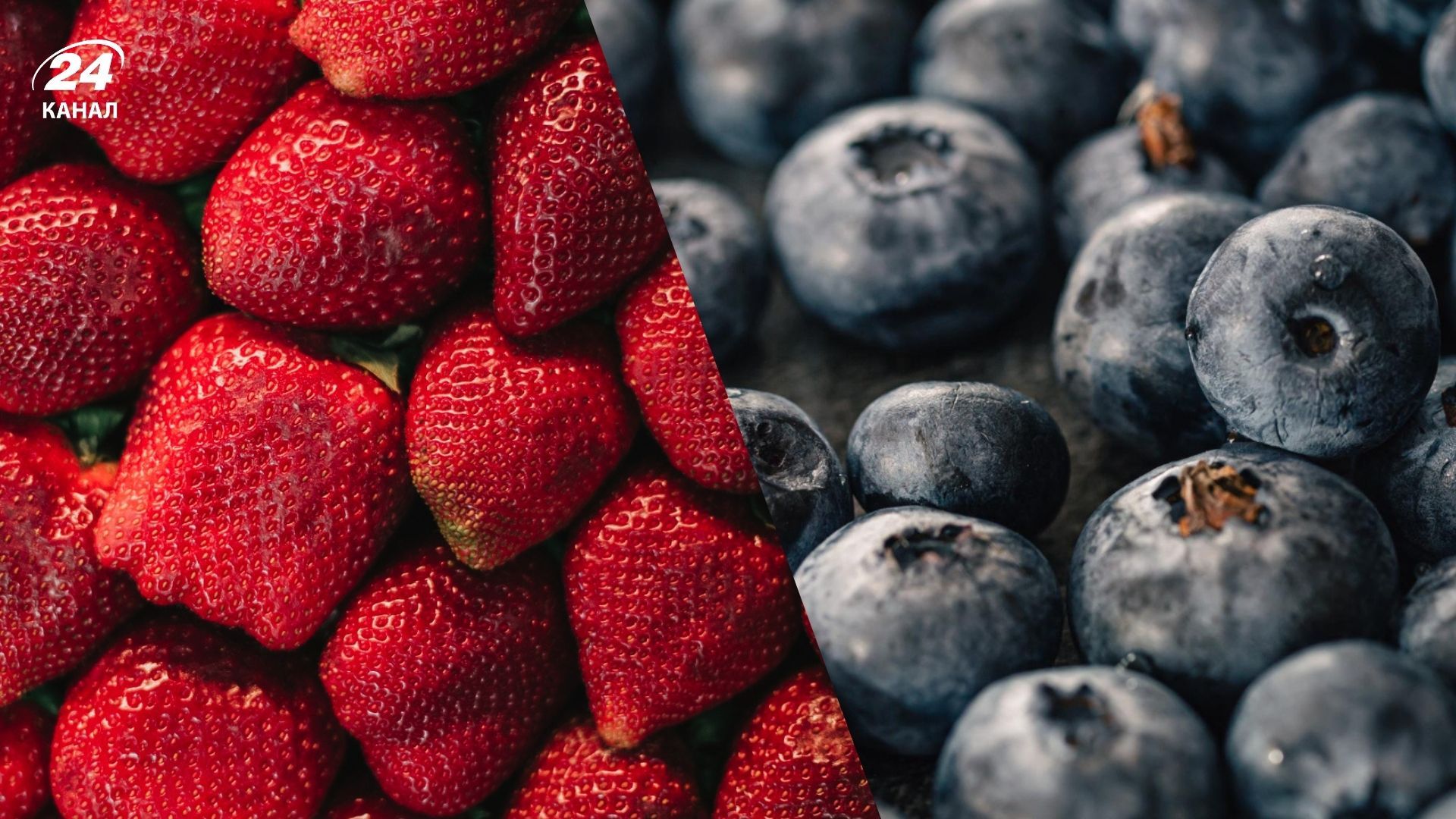 Земляника и черника уже в продаже - цена 2025 Земляника и черника уже в продаже - цена 2025
