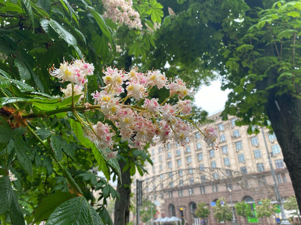 Прогноз погоды в Украине 22 июня
