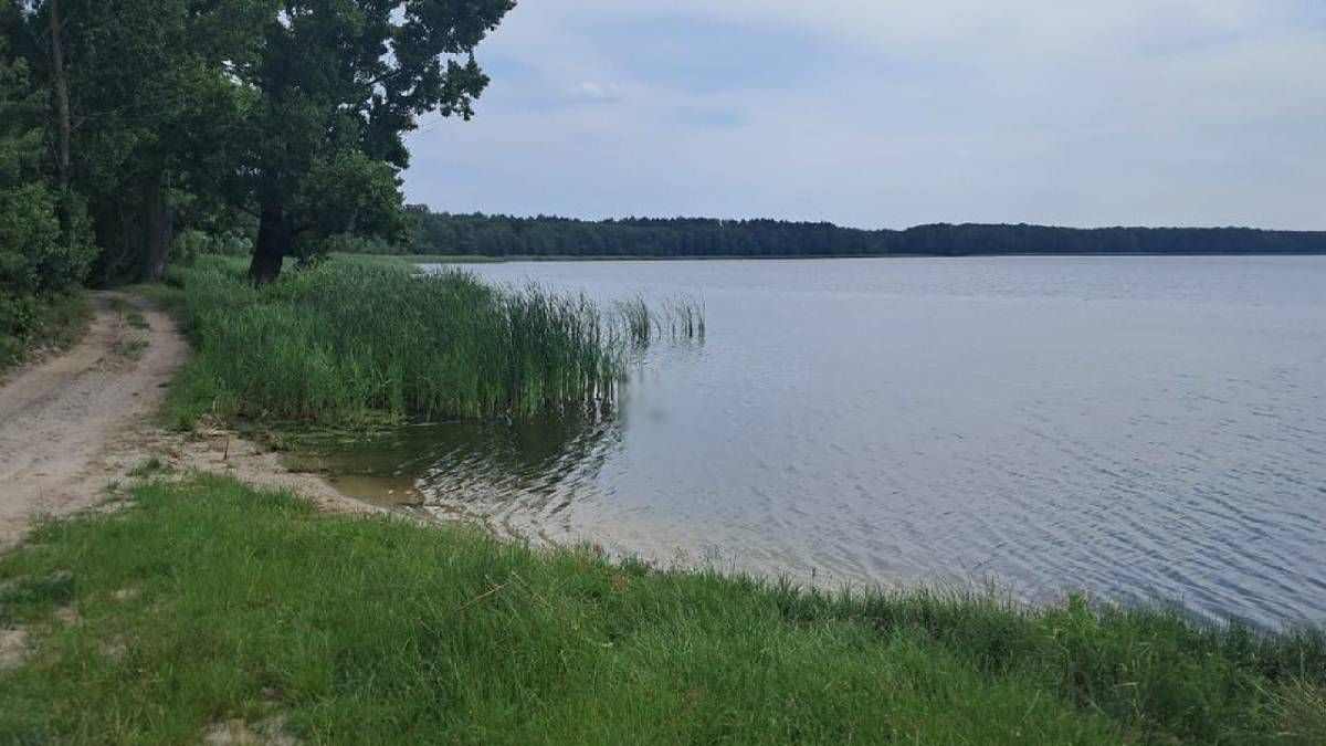 На Житомирщині жінка загинула через вибух гранати, її чоловіка затримали На Житомирщині жінка загинула через вибух гранати, її чоловіка затримали
