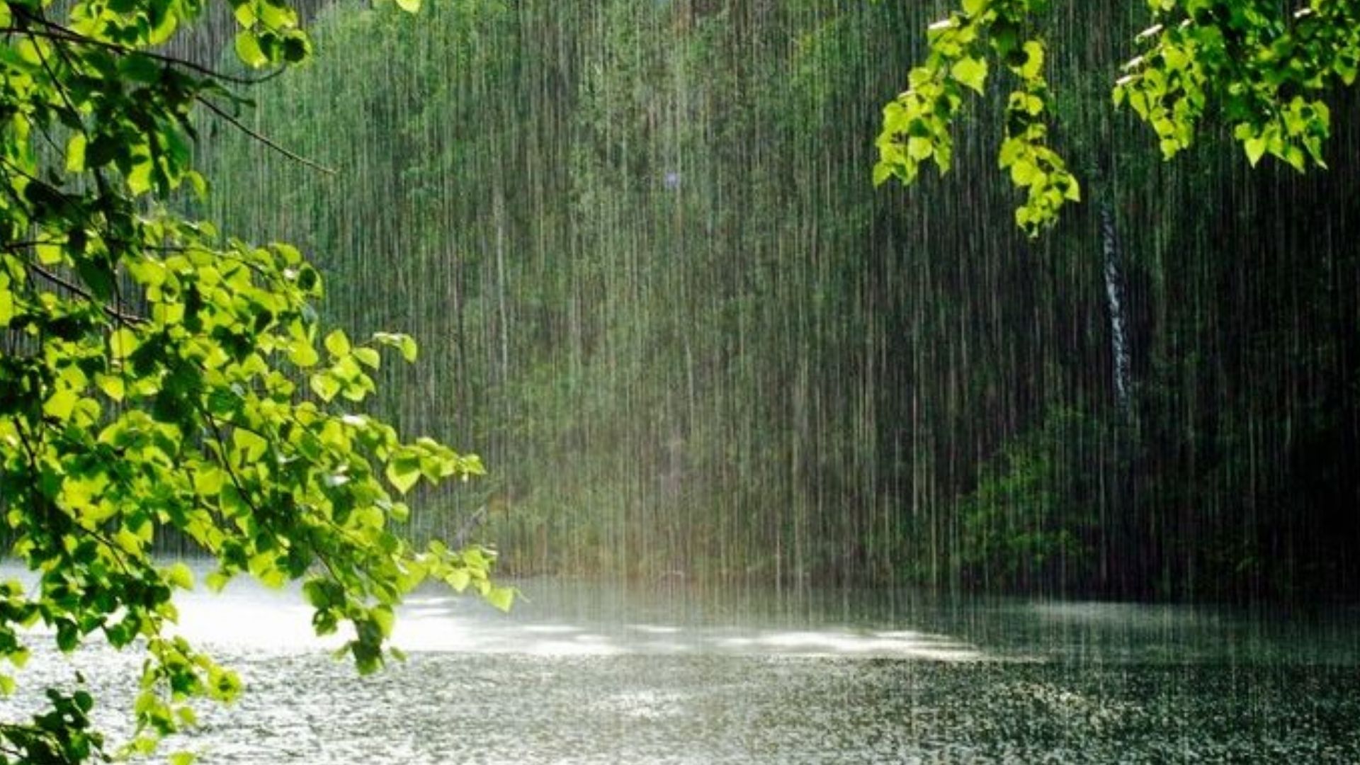 Погода на 23 июня Погода на 23 июня