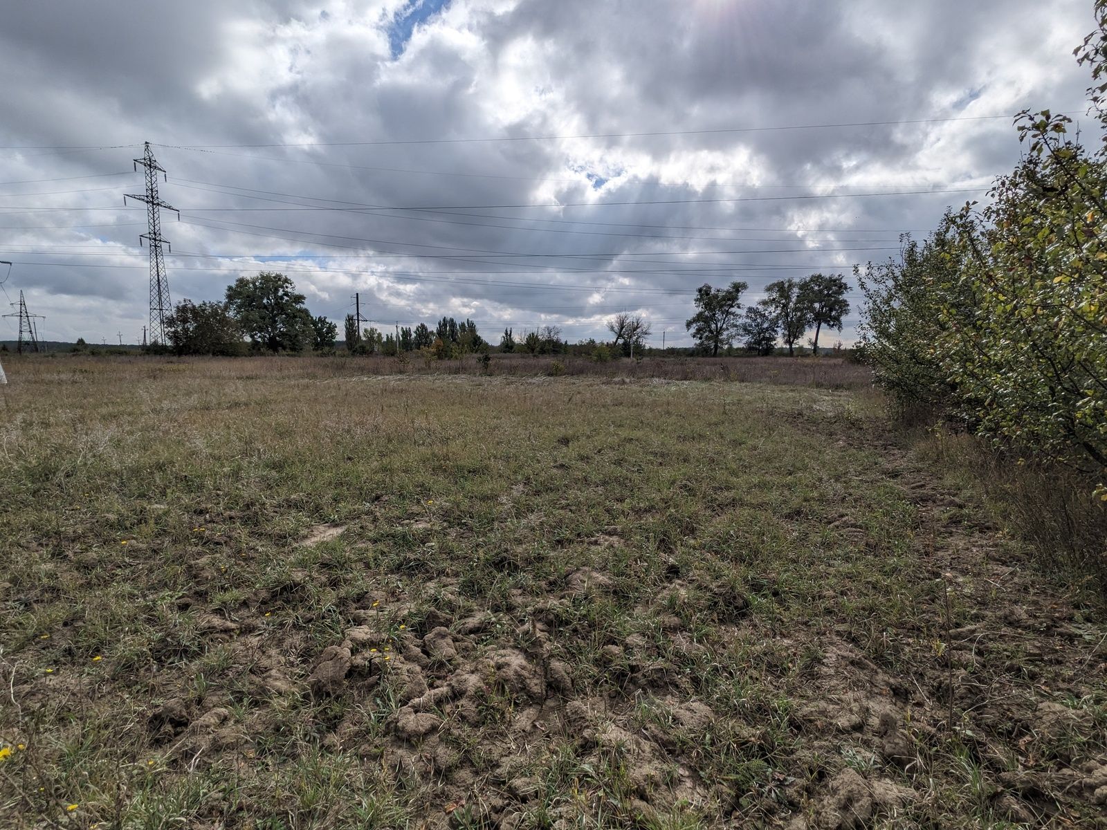 Что такое коллективная собственность Что такое коллективная собственность