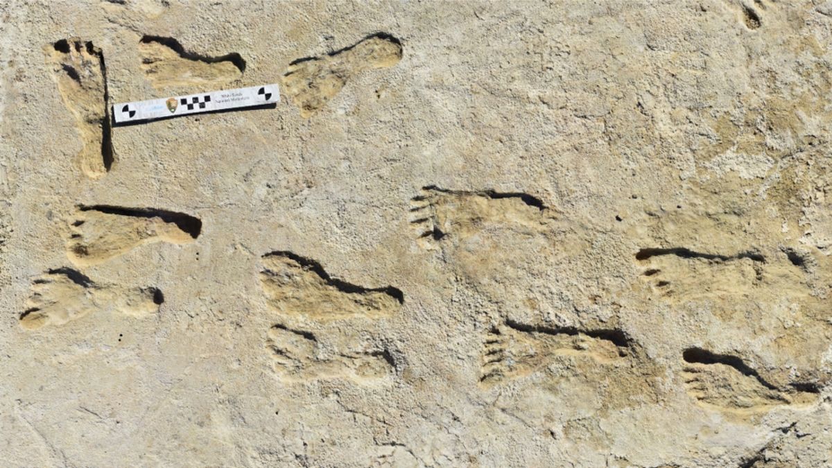 Человеческие следы в США доказывают заселение Северной Америки еще 23 000 лет назад