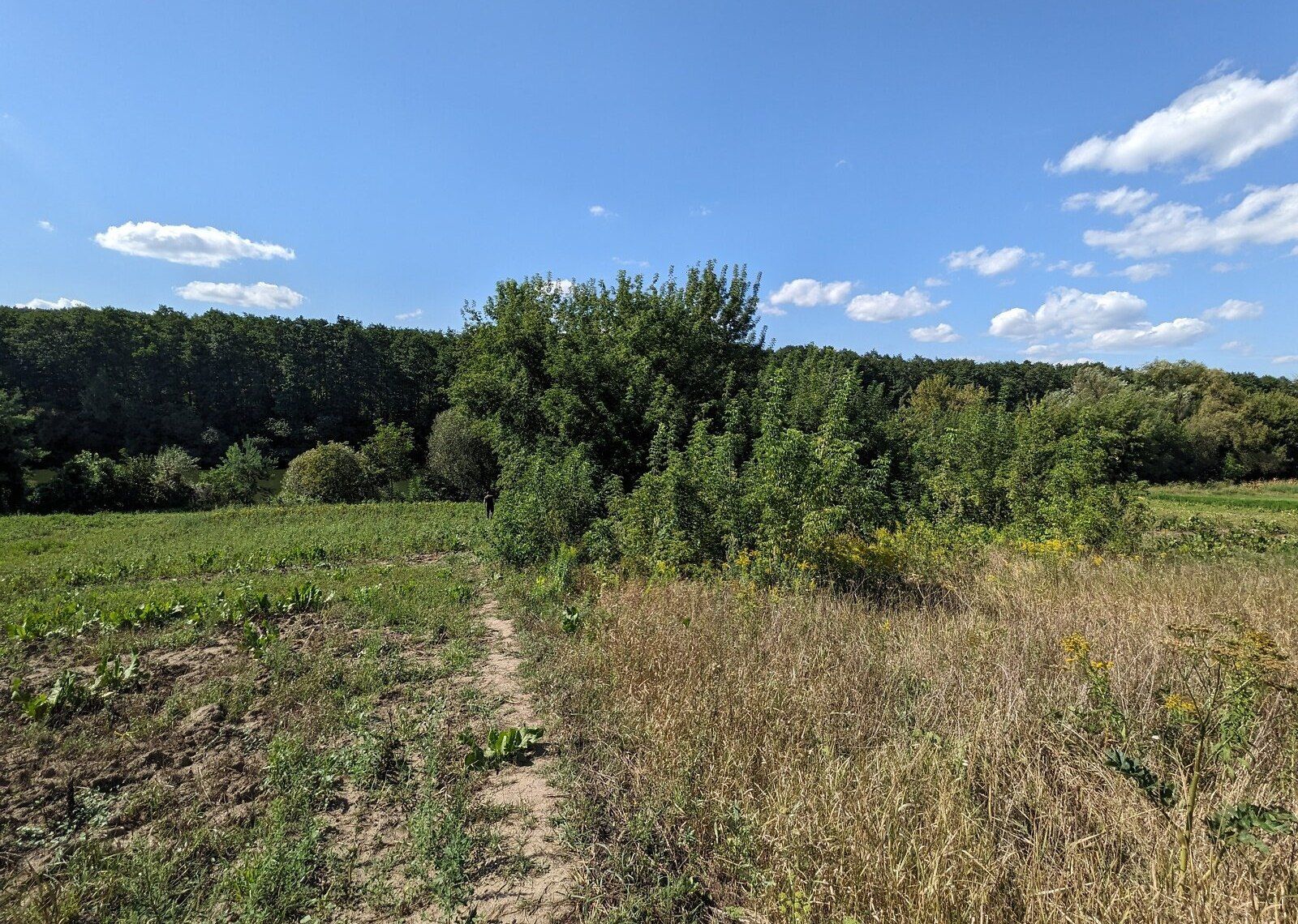 Як розділити землю Як розділити землю