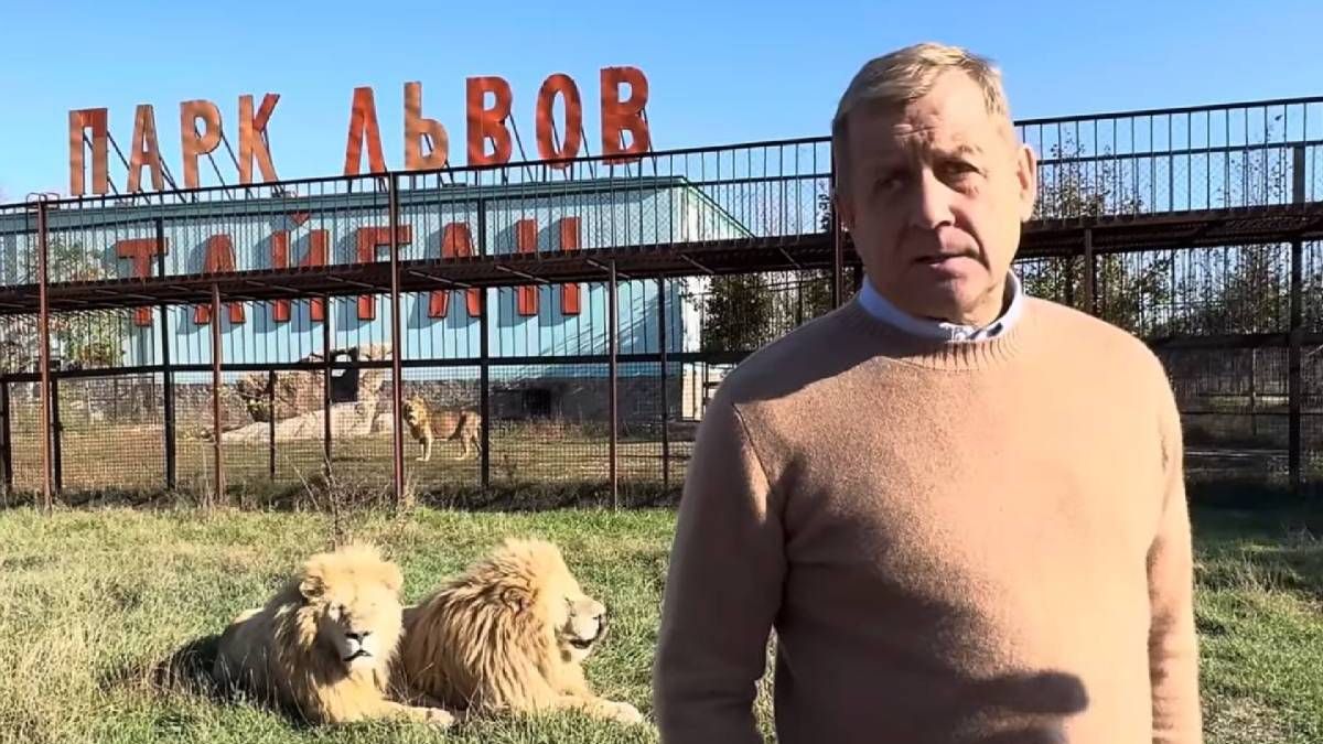 Что будет со львом, который погрыз коллаборанта в Крыму Что будет со львом, который погрыз коллаборанта в Крыму