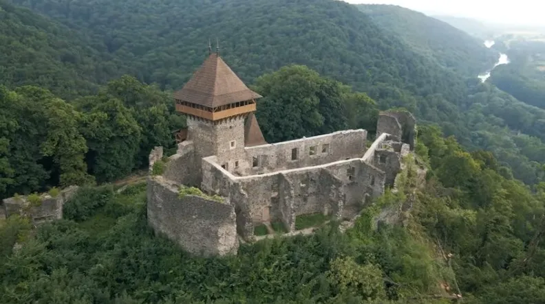 Невицкий замок