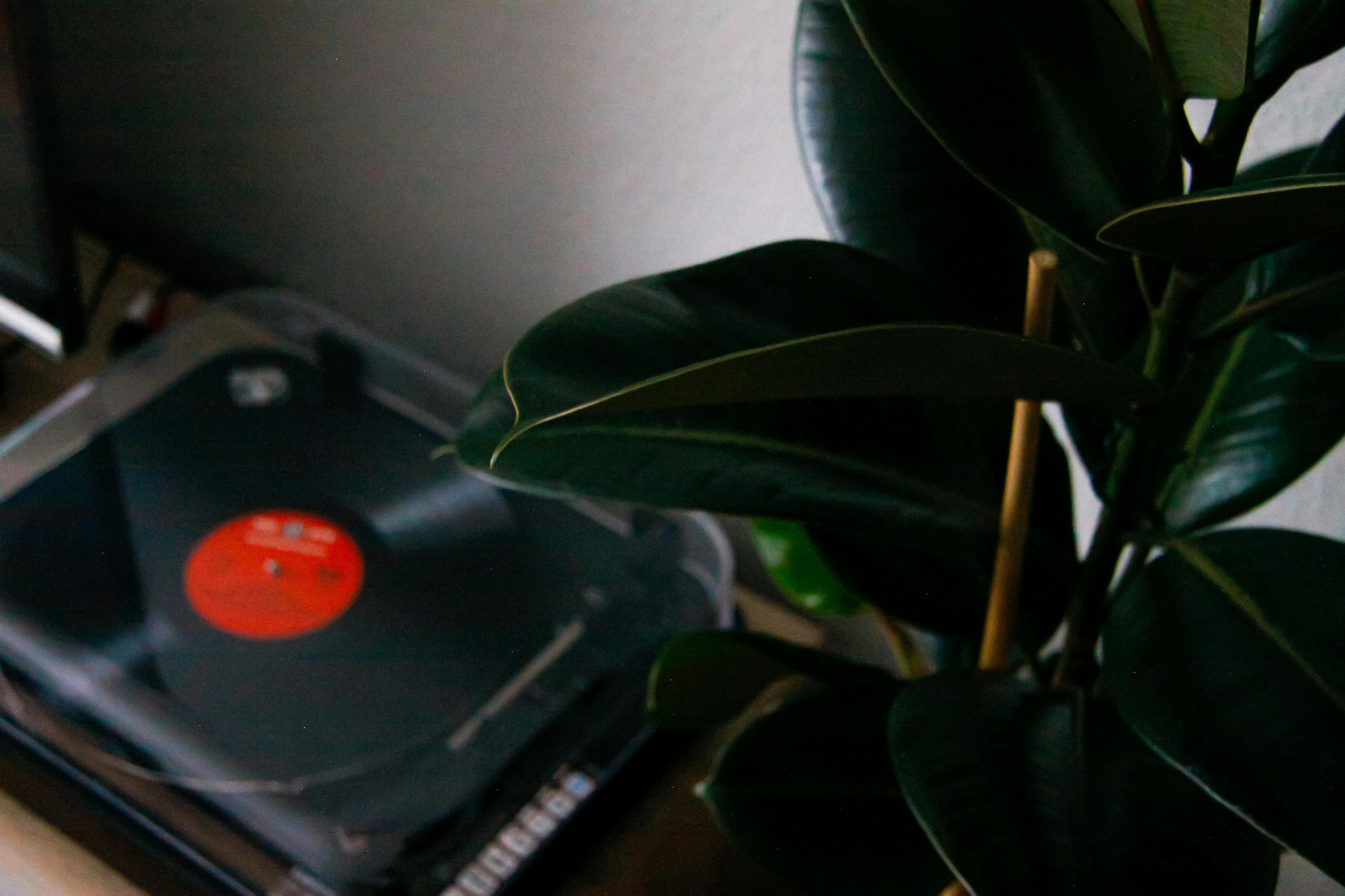 Найпопулярніша пісня 2003 року Найпопулярніша пісня 2003 року