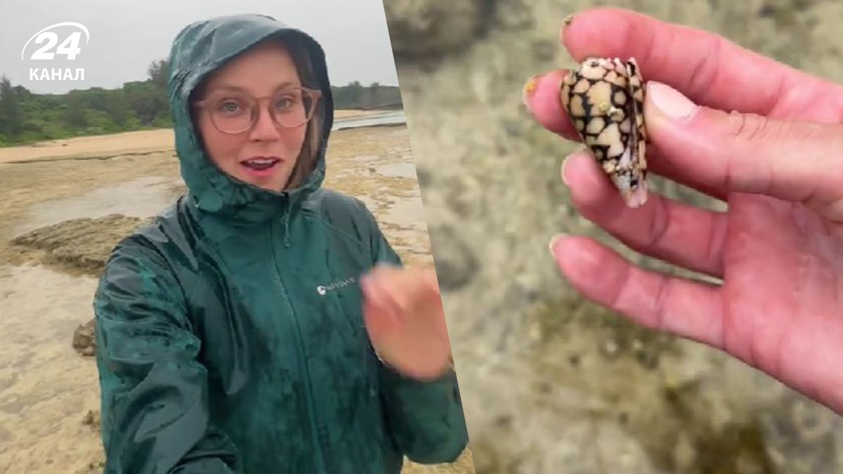 Женщина в Японии едва не погибла, взяв в руки смертельно опасную улитку Женщина в Японии едва не погибла, взяв в руки смертельно опасную улитку