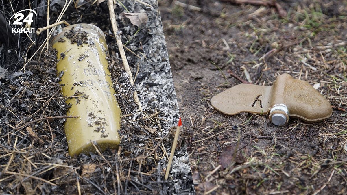 Польща, Фінляндія, країни Балтії повертають протипіхотні міни – до чого готуються- Геополітика Польща, Фінляндія, країни Балтії повертають протипіхотні міни – до чого готуються- Геополітика