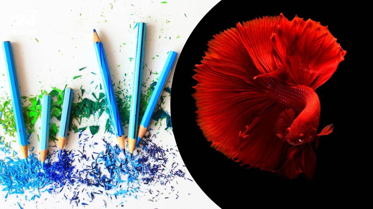 Какие цвета соответствуют характеру знаков зодиака - гороскоп