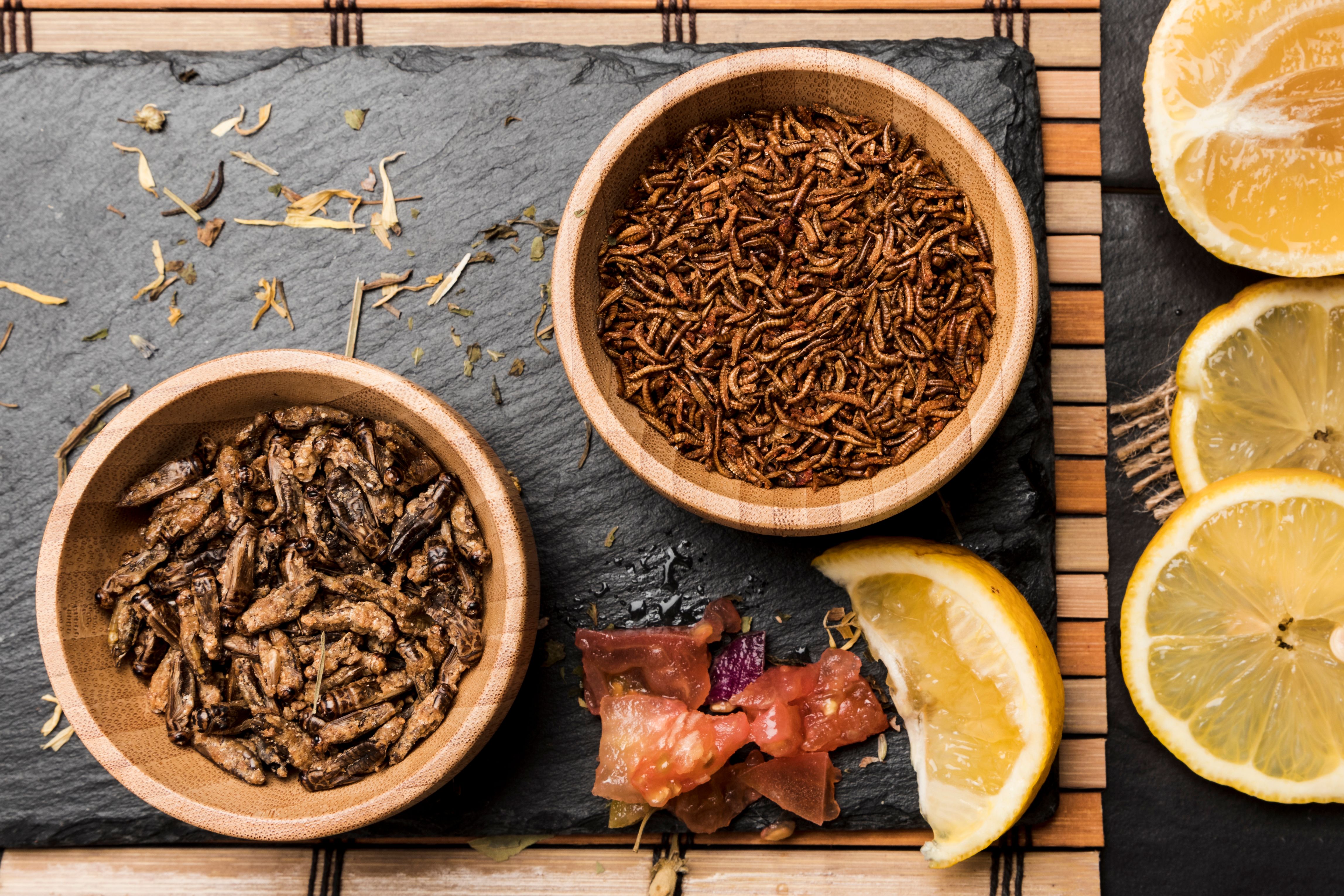 В чем проблема съедобных насекомых В чем проблема съедобных насекомых