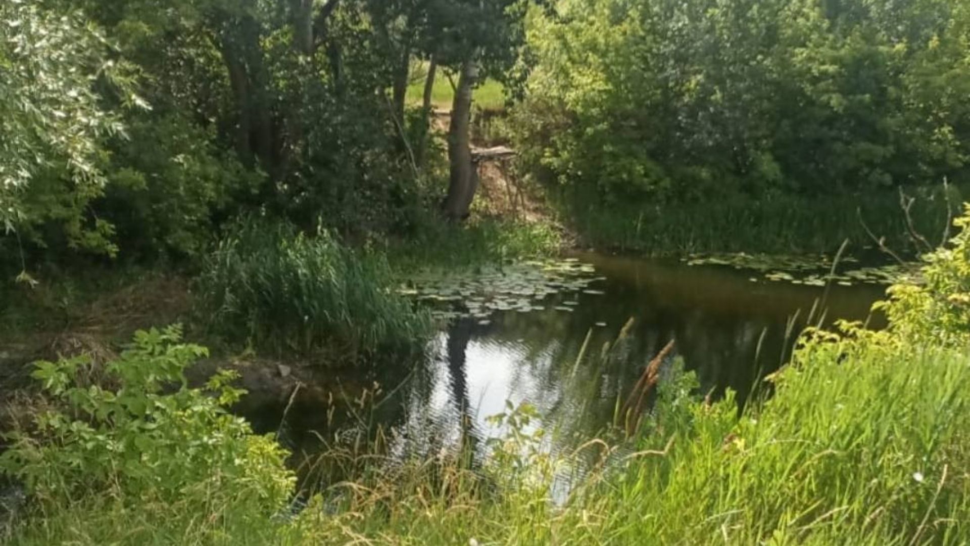 На Харьковщине утонула 11-летняя девочка