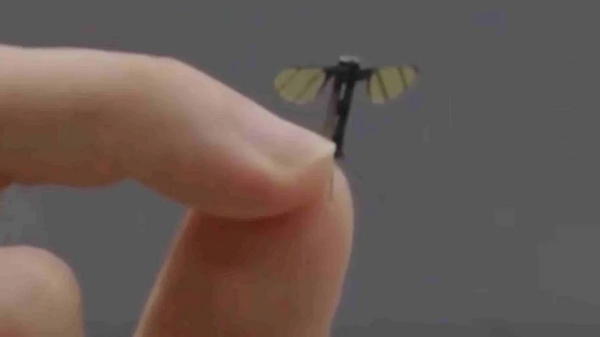 Китай створив мініатюрні дрони розміром з комара для розвідки