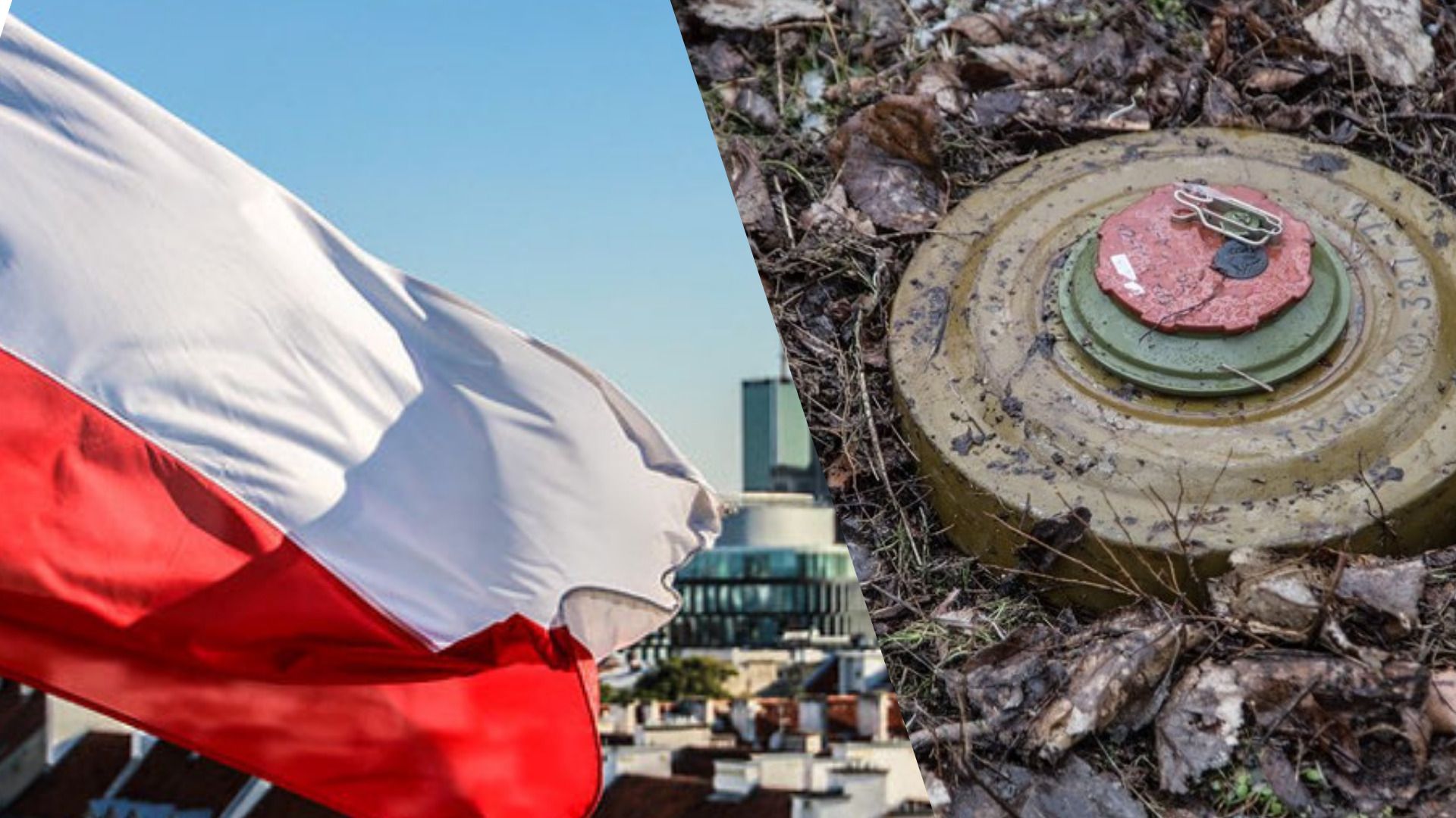 Польша официально выходит из Оттавской конвенции