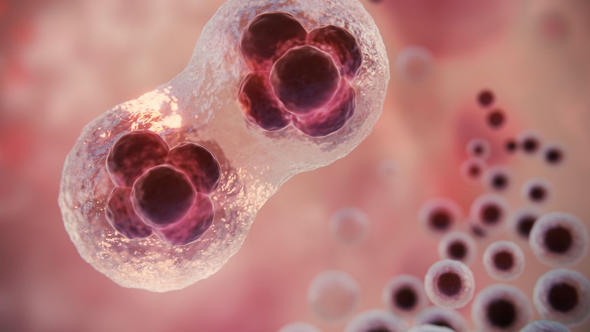 Нове відкриття вчених кидає виклик визначенню живих організмів Нове відкриття вчених кидає виклик визначенню живих організмів