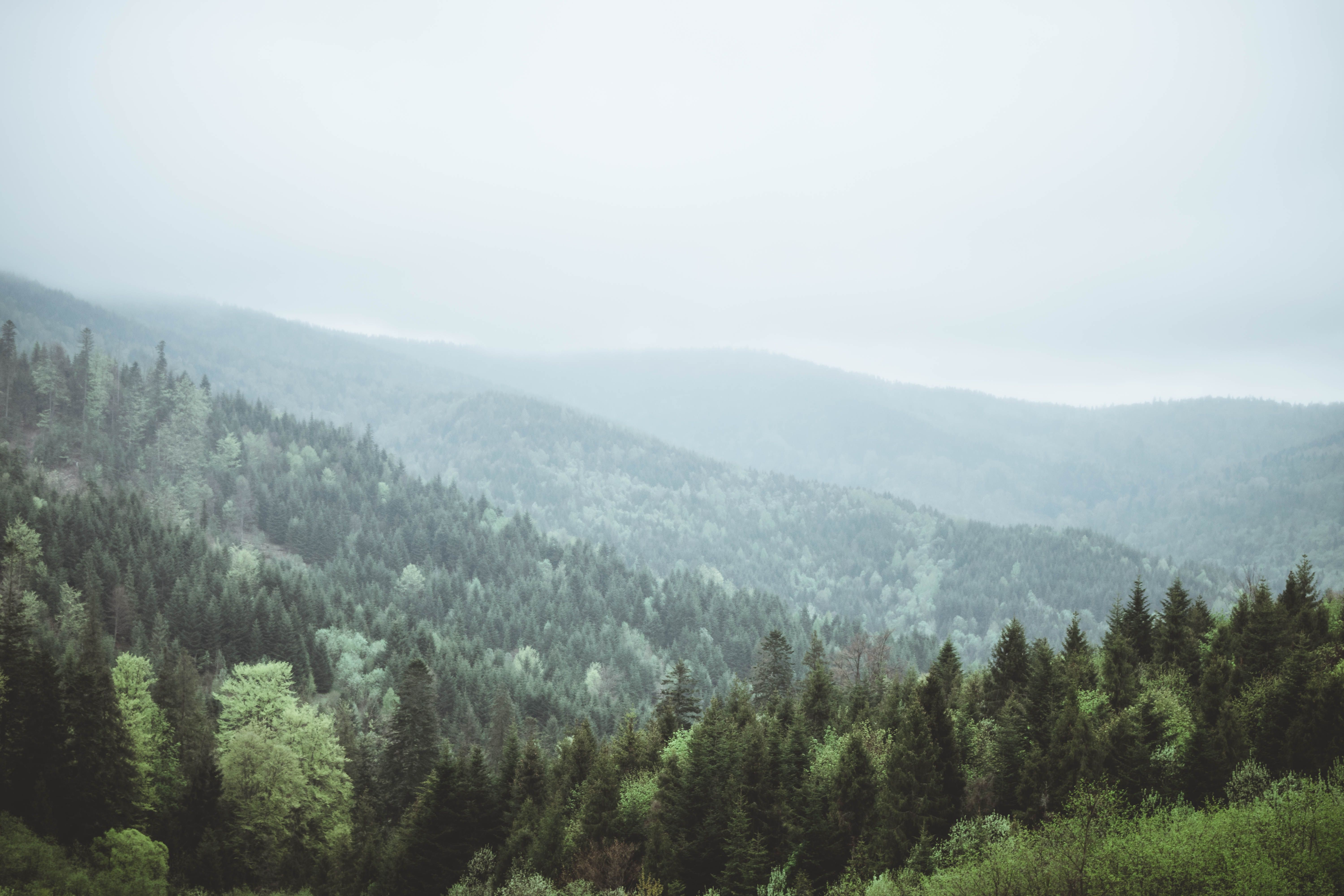 Погода в Україні 27 червня Погода в Україні 27 червня