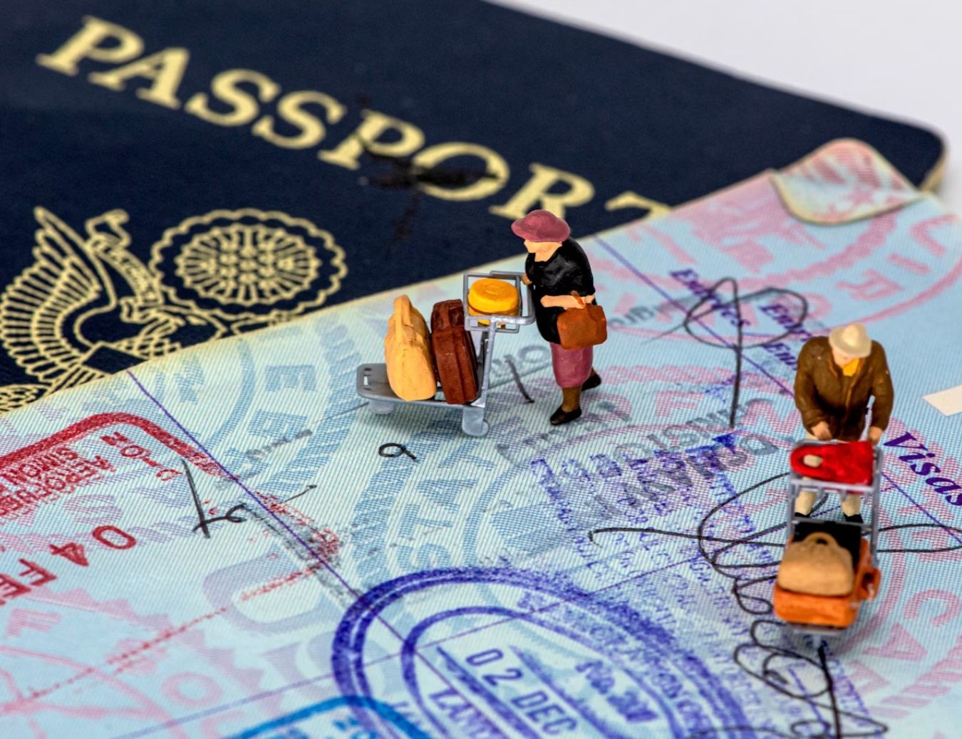 Как считаются дни безвиза во время временной защиты Как считаются дни безвиза во время временной защиты