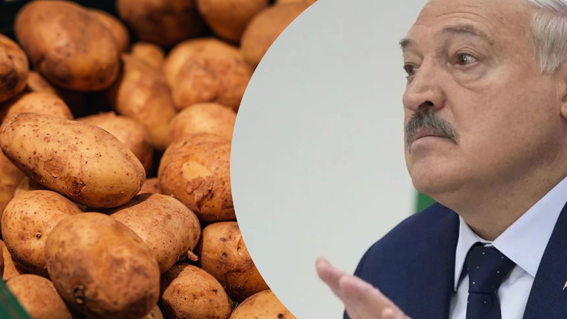 Лукашенко спричинив дефіцит картоплі Лукашенко спричинив дефіцит картоплі