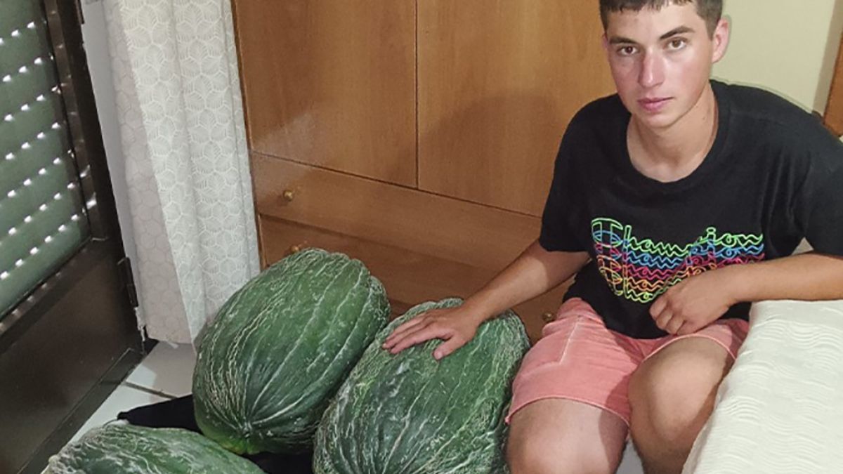 В Іспанії хлопець встановив рекорд за вирощування найбільшої дині В Іспанії хлопець встановив рекорд за вирощування найбільшої дині