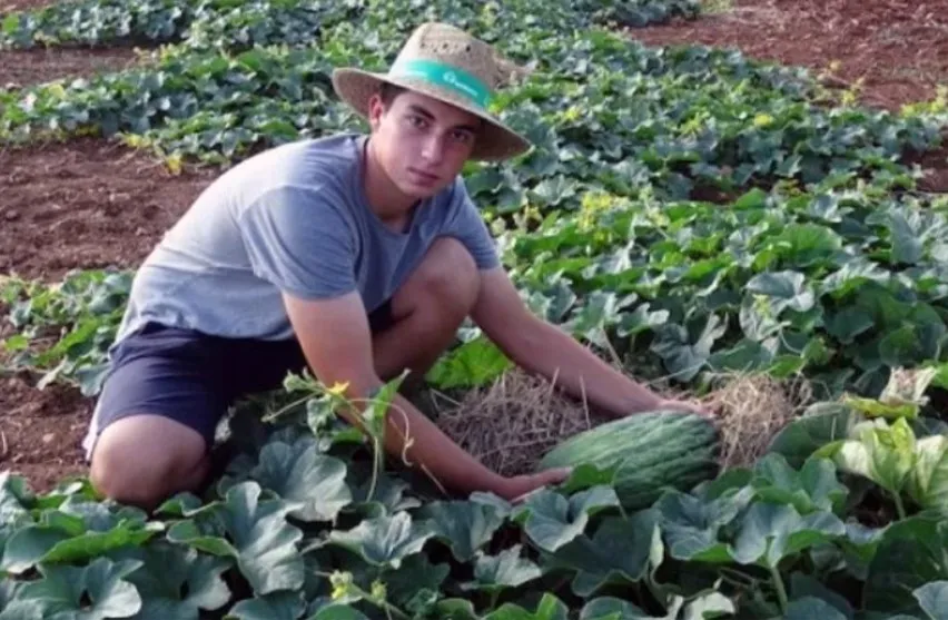 Как парень выращивал дыню