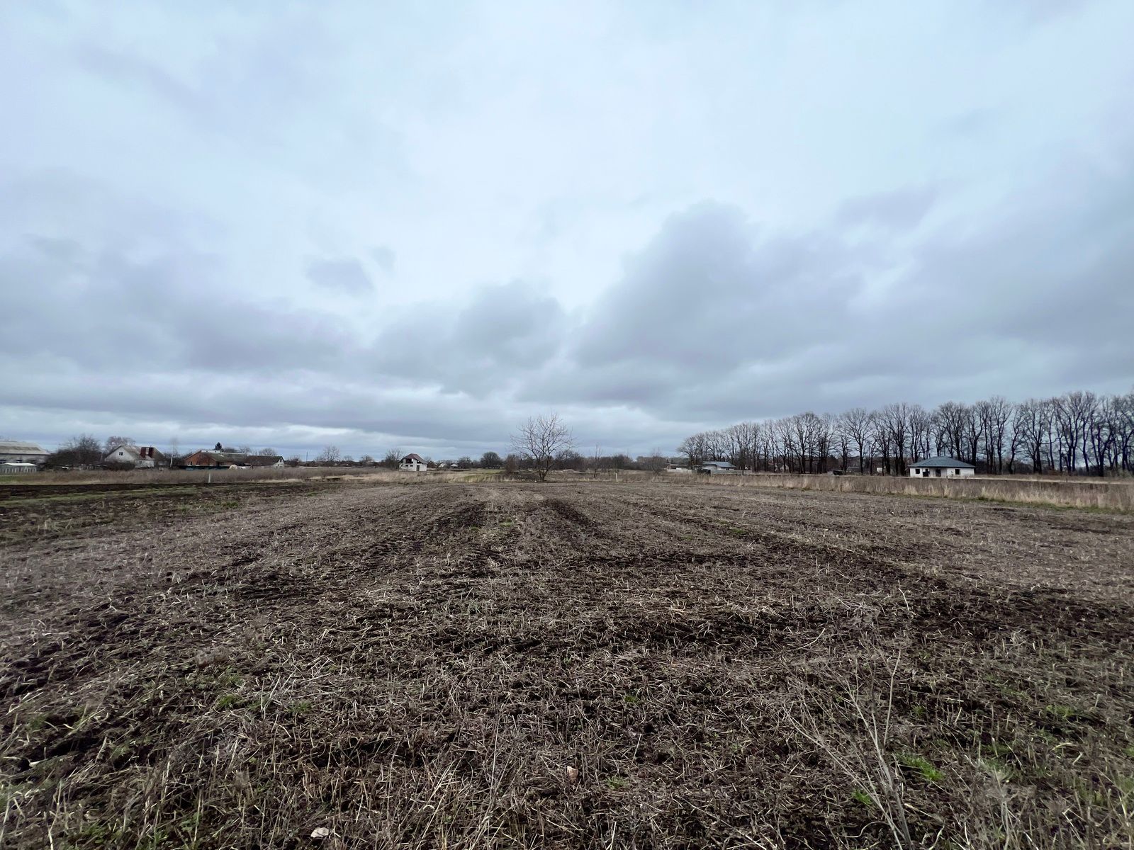 Является ли земля общим имуществом Является ли земля общим имуществом