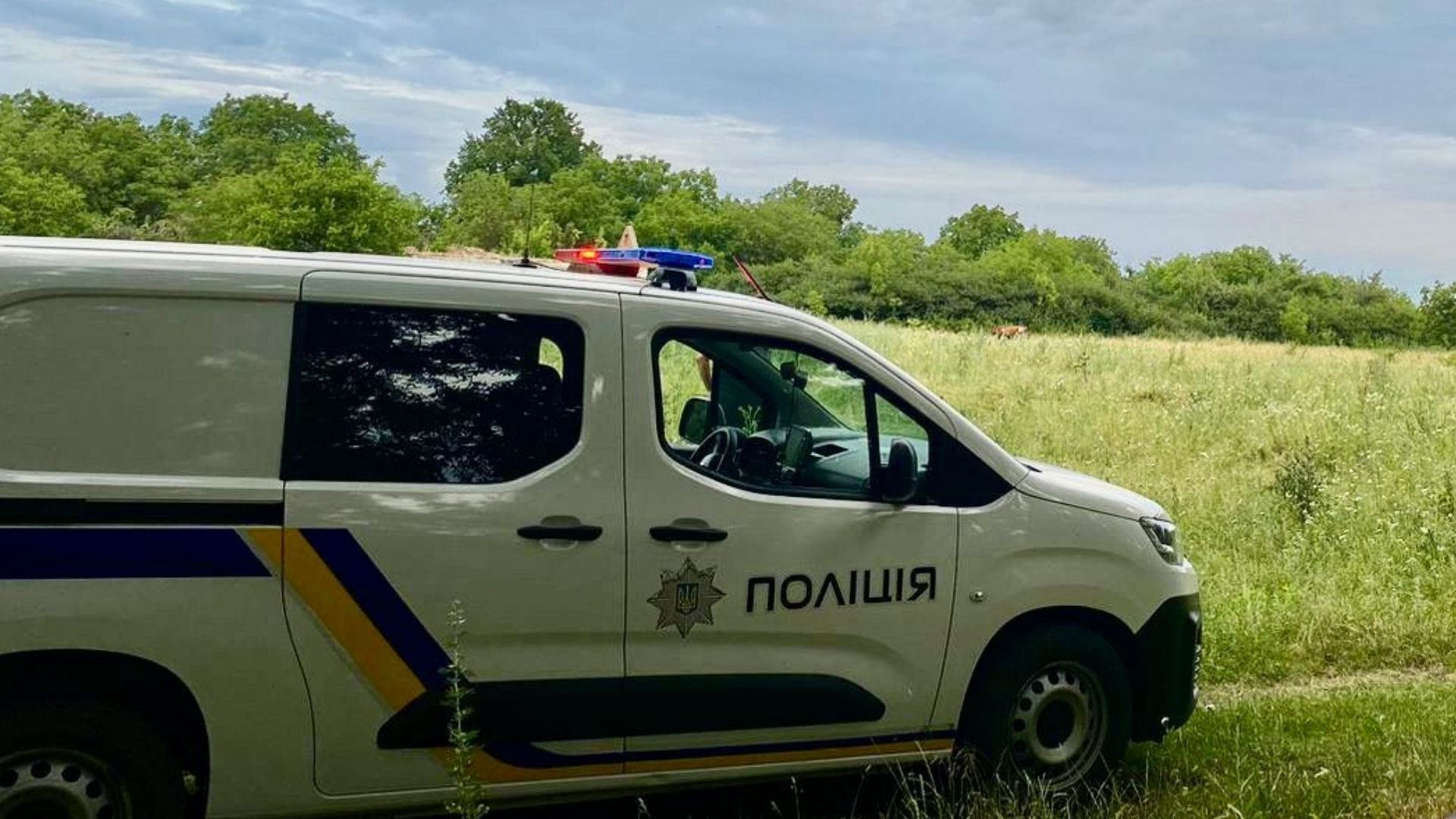 Гвинтівку дав батько: 10-річний хлопчик вистрелив у груди другу з пневматики Гвинтівку дав батько: 10-річний хлопчик вистрелив у груди другу з пневматики