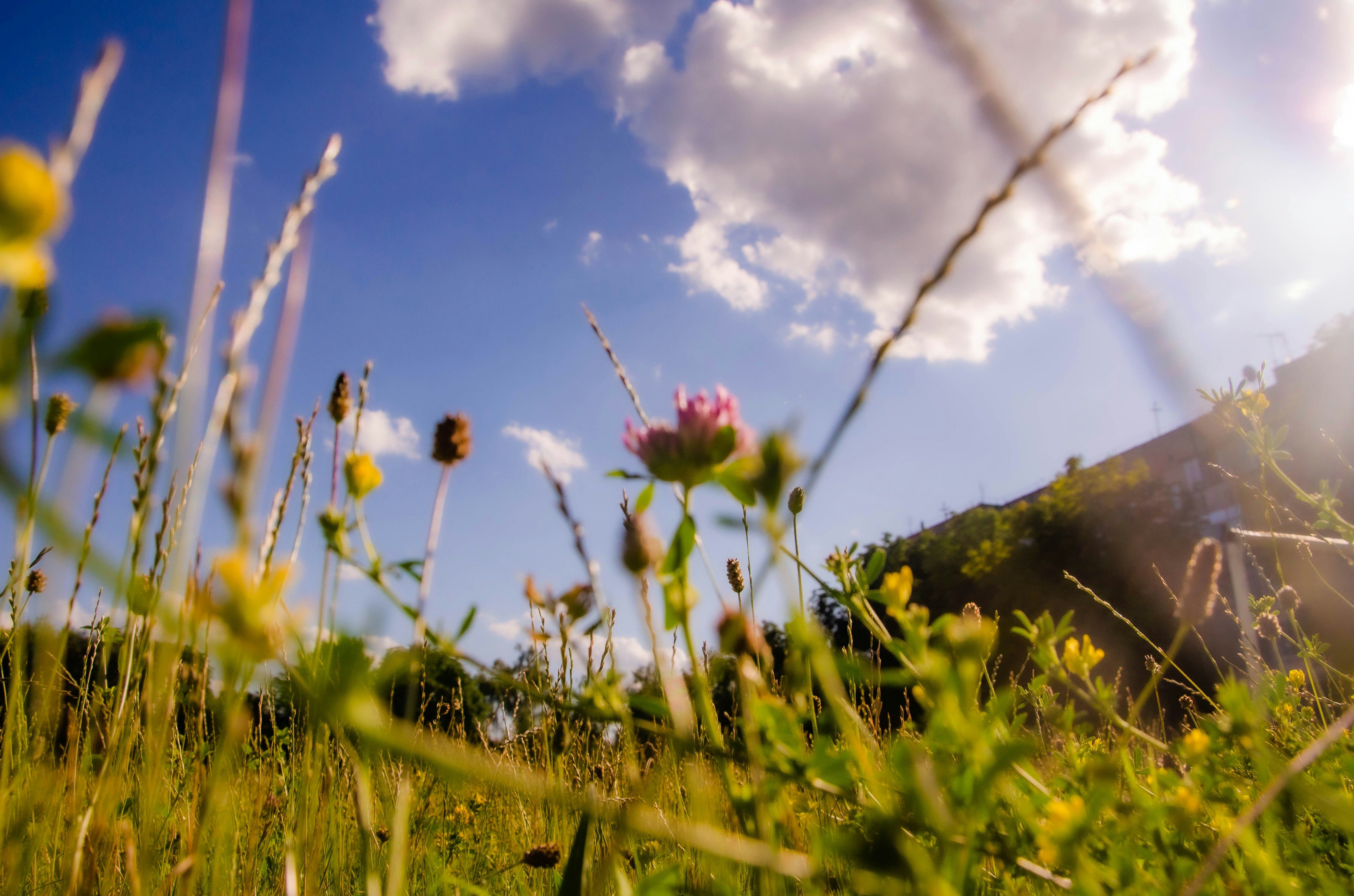 Погода в Україні на тиждень Погода в Україні на тиждень